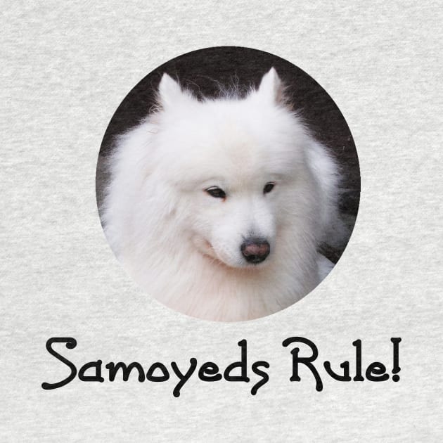 Samoyeds Rule! by Naves